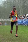 Senior mens Inter Counties Cross Country, Prestwold Hall, Loughborough. Photo: David T. Hewitson/Sports for All Pics